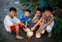 41节 幼儿园中班健康领域微课课件 视频+教案+PPT课件 百度网盘下载-早彩幼教网