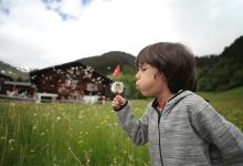 25节 幼儿园大班数学领域微课课件 视频+教案+PPT课件 百度网盘下载-早彩幼教网