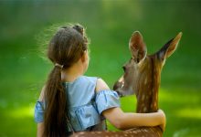 15节 幼儿园中班音乐领域微课课件 视频+教案+PPT课件 百度网盘下载-早彩幼教网