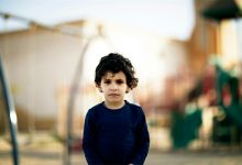 14节 幼儿园小班社会领域优质课课件 视频+教案+PPT课件 百度网盘下载-早彩幼教网