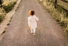 33份 幼儿园托班科学领域教案模板 百度网盘下载-早彩幼教网