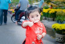 50节 幼儿园小班音乐公开课课件 视频+教案+PPT课件 百度网盘下载-早彩幼教网