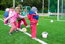 143节 幼儿园大班各大领域优质课课件 视频+教案+PPT课件 百度网盘下载-早彩幼教网