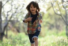 30节 幼儿园小班美术领域优质课课件 视频+教案+PPT课件 百度网盘下载-早彩幼教网