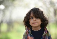 4节 幼儿园大班体育领域微课课件 视频+教案+PPT课件 百度网盘下载-早彩幼教网