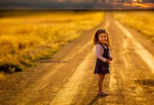 34节 幼儿园小班健康领域微课课件 视频+教案+PPT课件 百度网盘下载-早彩幼教网