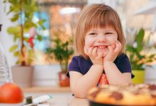 31节 幼儿园小班科学领域优质课课件 视频+教案+PPT课件 百度网盘下载-早彩幼教网