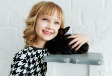 24节 幼儿园小班各大领域希沃课件 视频+教案+PPT课件 百度网盘下载-早彩幼教网