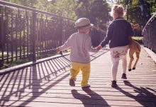 36节 幼儿园大班各大领域优质课课件 视频+教案+PPT课件 百度网盘下载-早彩幼教网