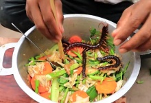 【288款】越南乡村生猛烧烤奇葩食物美食视频素材-早彩素材网